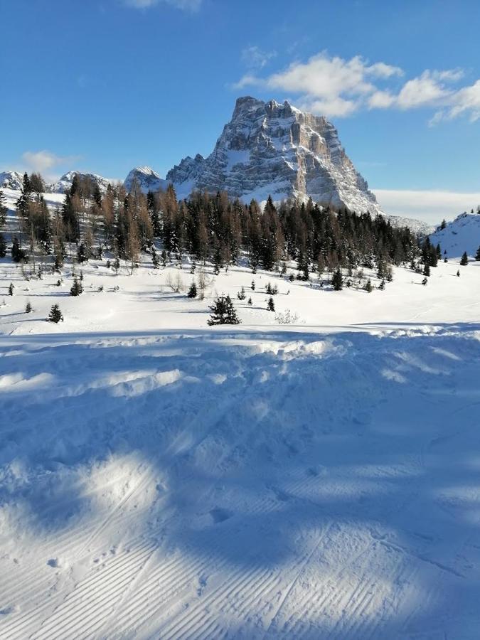 Appartamento Alto Cordevole Colle Santa Lucia Exterior foto
